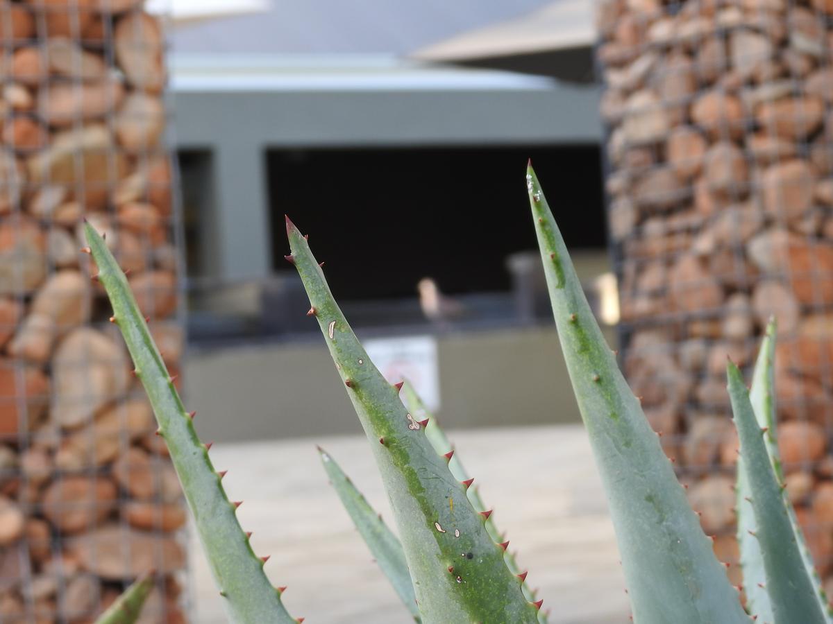 The Featherbed - Oudtshoorn Buitenkant foto